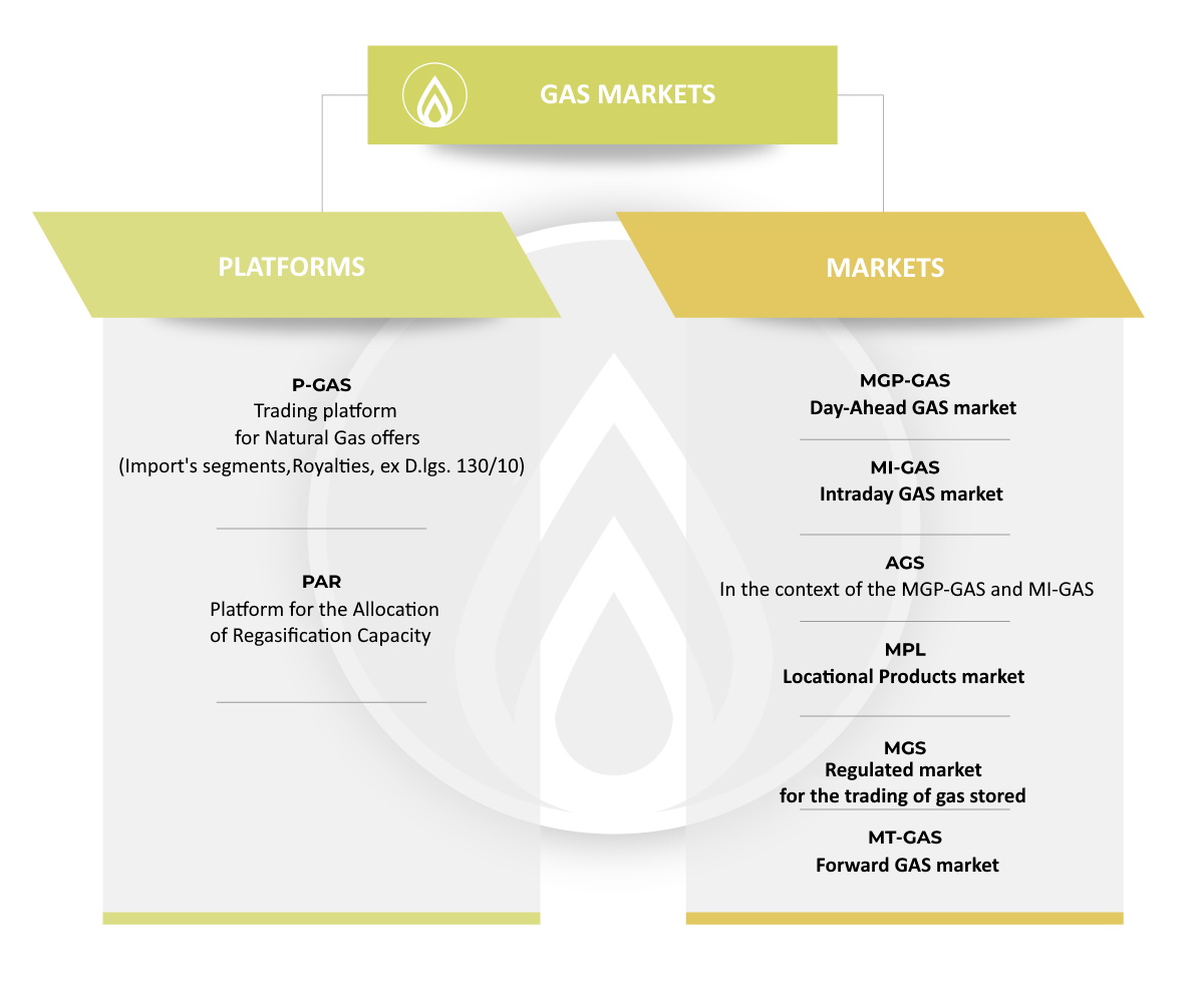 Image representing the subdivision of the GAS Market between Platforms and Markets. The Platforms include P-GAS and PAR, while the MGP-GAS, MI-GAS, AGS, MPL, MGS, MT-GAS are part of the Markets